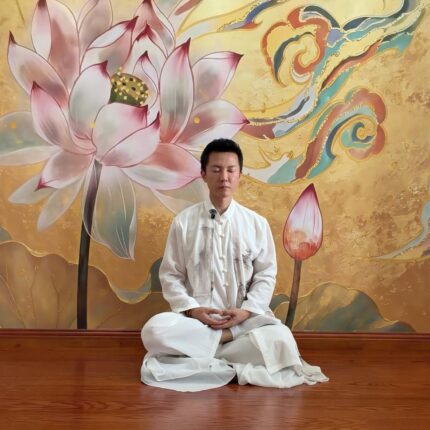 Taoist Energy Cultivation: The Microcosmic Orbit Foundation