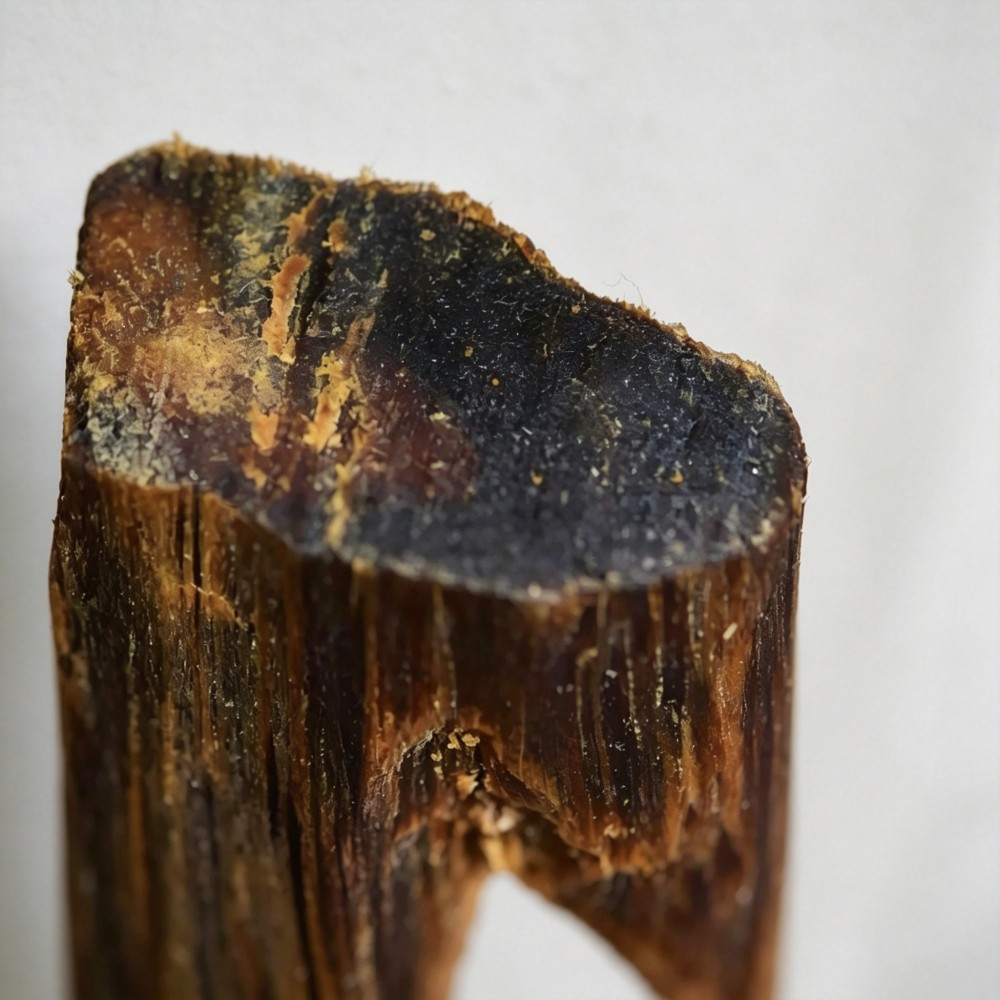 agarwood meaning